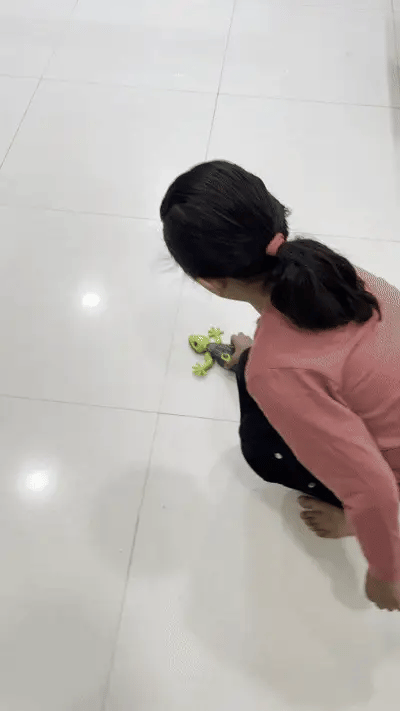 Wall Climbing Lizard Remote Control
